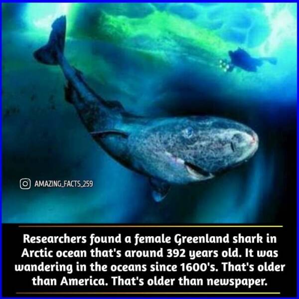 Fascinating Facts That Will Make You See the World Differently