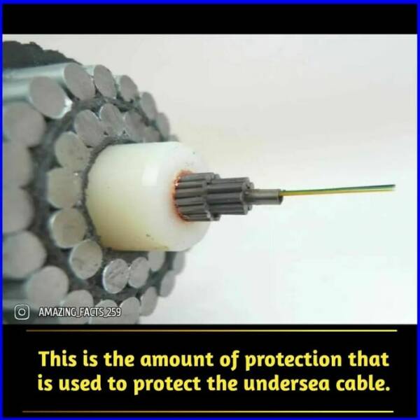 Fascinating Facts That Will Make You See the World Differently