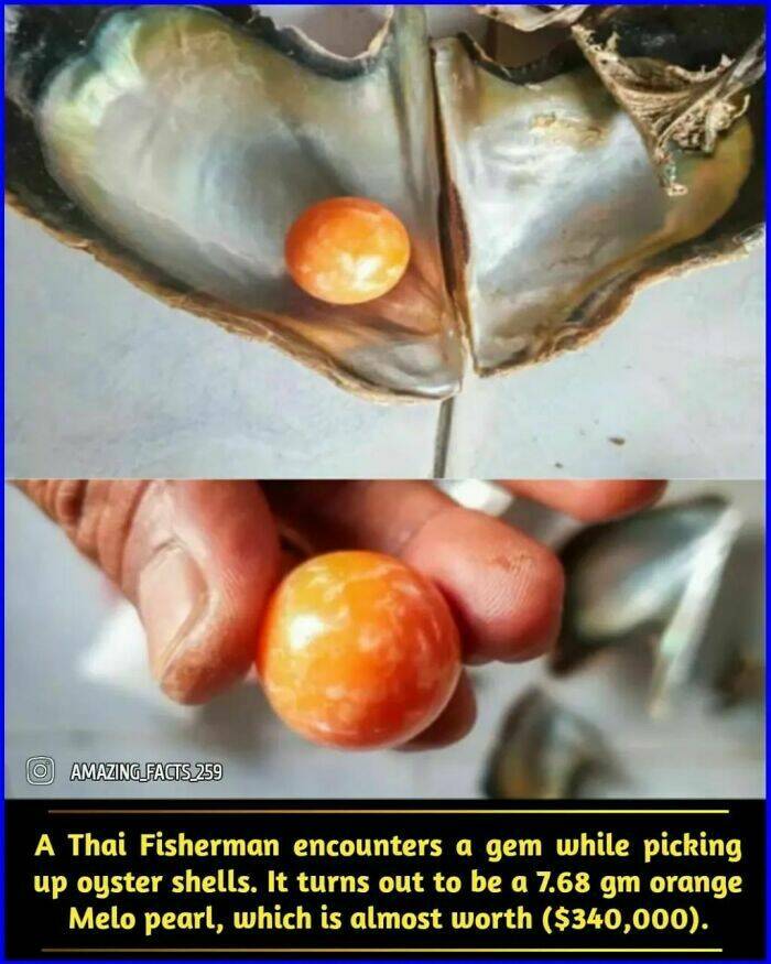 Fascinating Facts That Will Make You See the World Differently