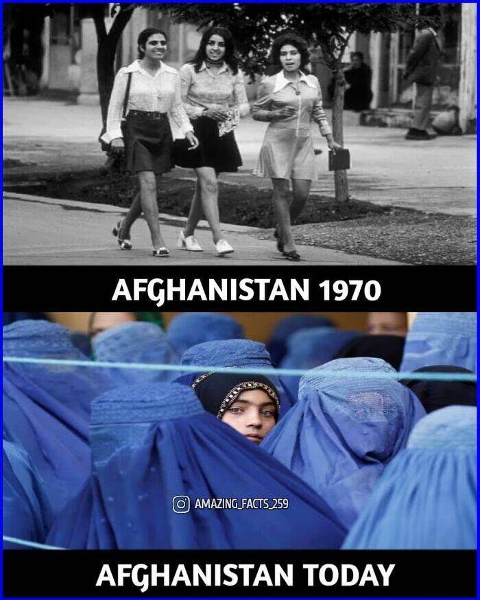 Fascinating Facts That Will Make You See the World Differently