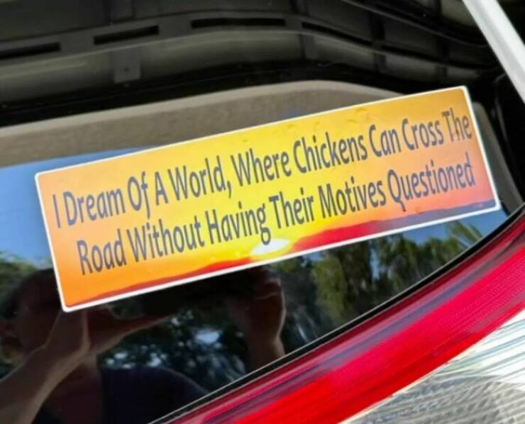 Hilarious Bumper Stickers That Will Make Your Day