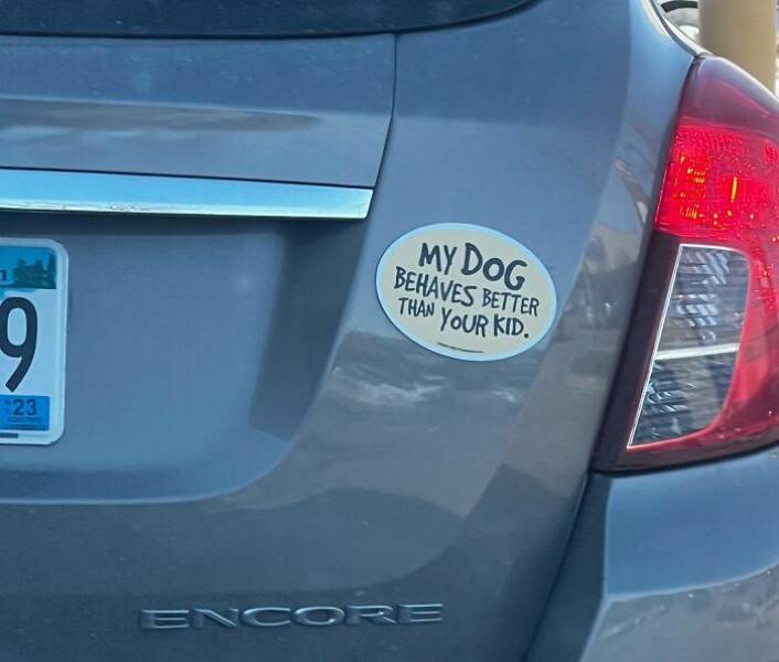 Hilarious Bumper Stickers That Will Make Your Day