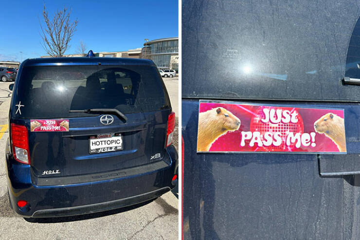 Hilarious Bumper Stickers That Will Make Your Day