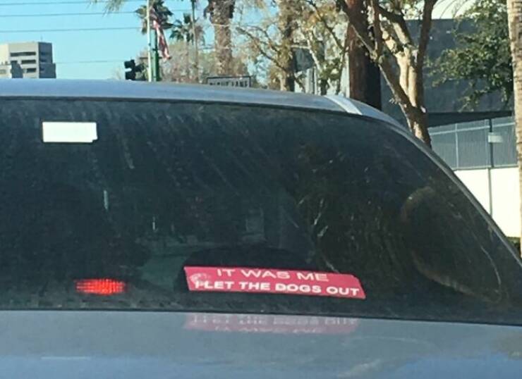 Hilarious Bumper Stickers That Will Make Your Day