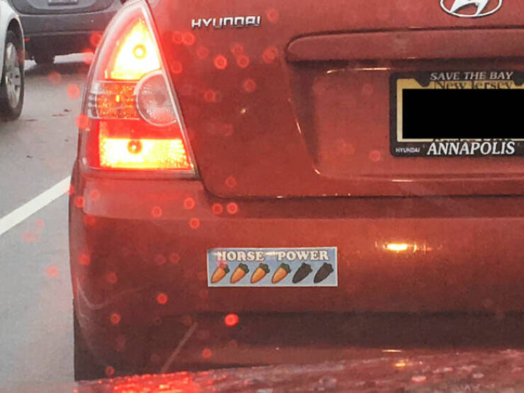 Hilarious Bumper Stickers That Will Make Your Day