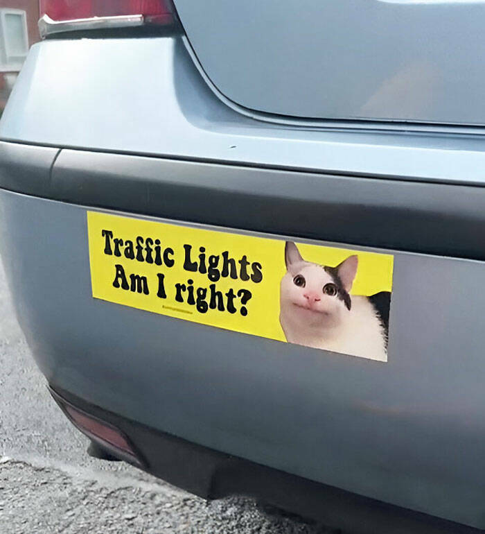 Hilarious Bumper Stickers That Will Make Your Day