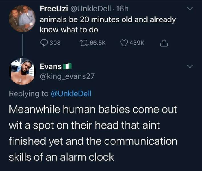 Savage Insults That Are As Funny As They Are Brutal