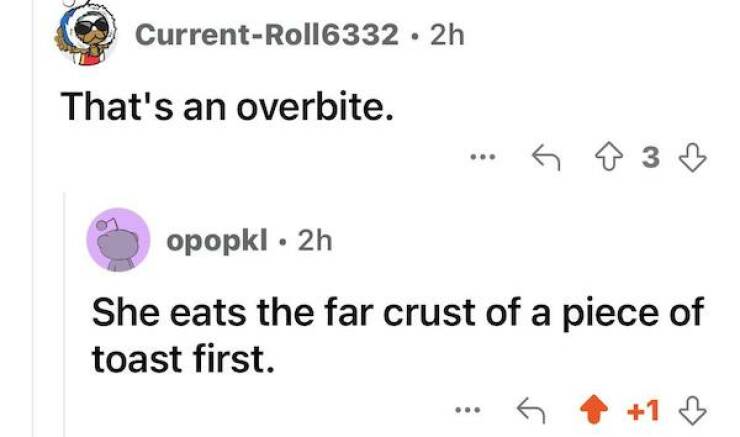 Savage Insults That Are As Funny As They Are Brutal