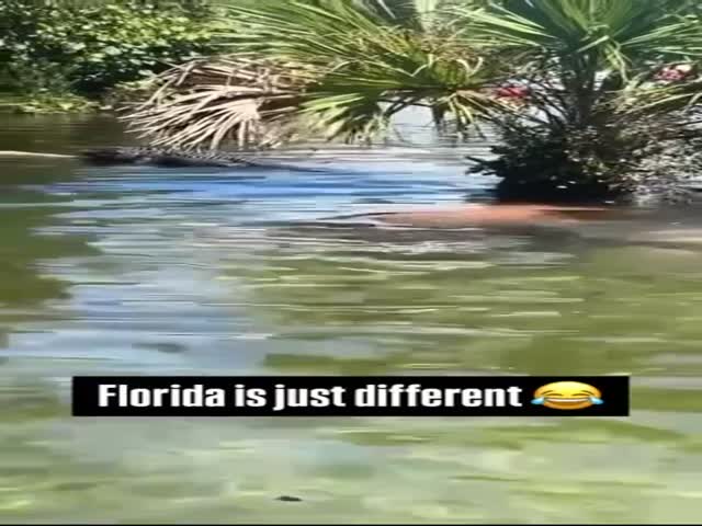 Only In Florida