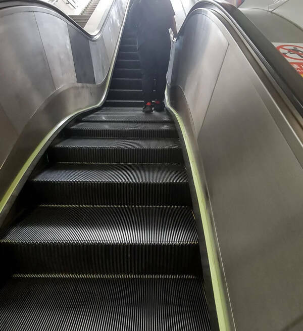 Intriguing Random Finds That Will Capture Your Attention