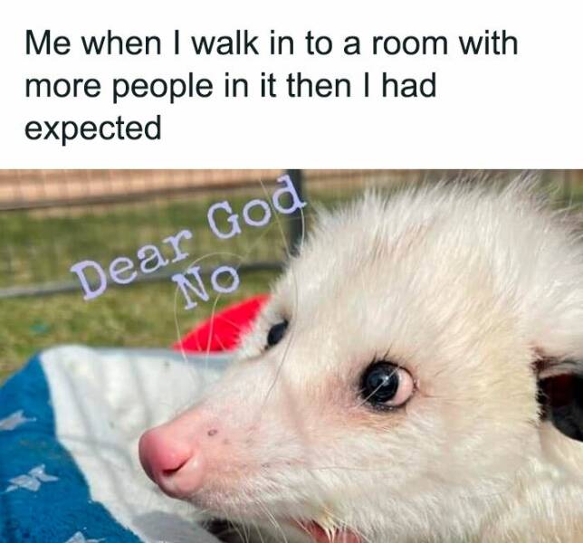 Relatable Memes Every Introvert Will Instantly Get