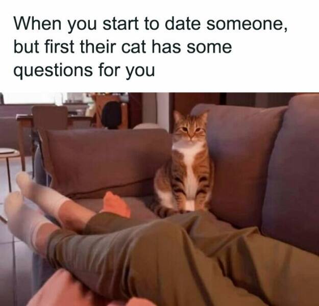 Relatable Memes Every Introvert Will Instantly Get