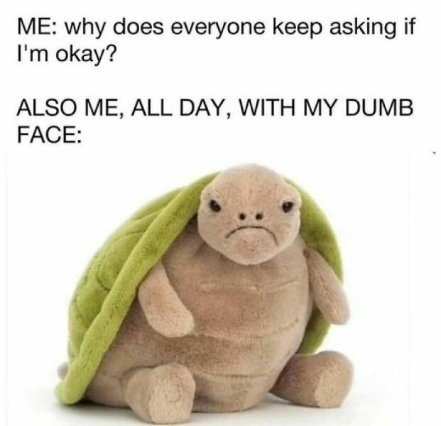 Relatable Memes Every Introvert Will Instantly Get