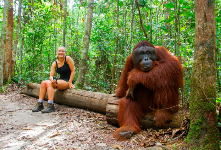 Surprisingly Giant Animals That Defy Expectations