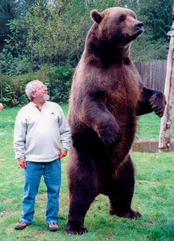 Surprisingly Giant Animals That Defy Expectations