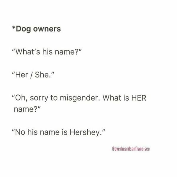 The Funniest Snippets Of Conversations People Caught In L.A.