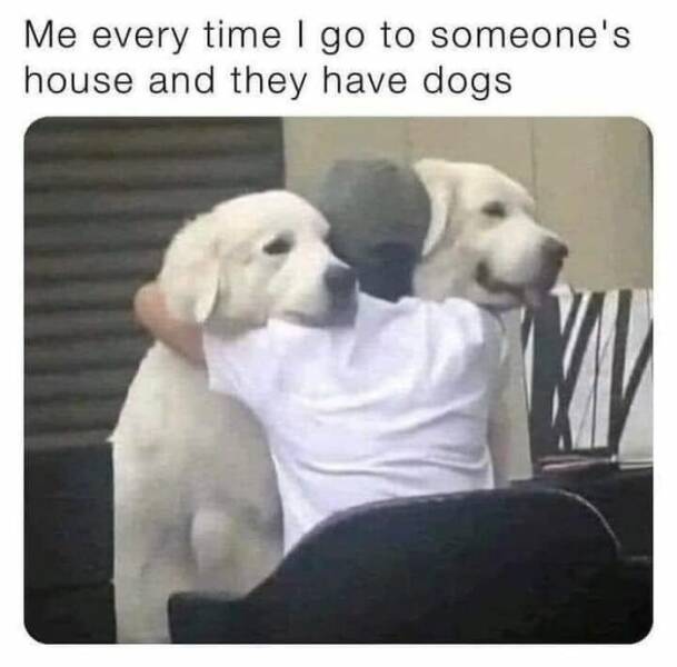 Memes That Bring The Humor, No Matter The Topic Memes That Bring The Humor, No Matter The Topic