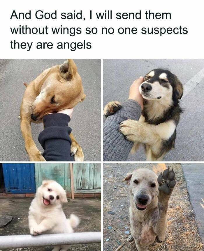 Memes That Bring The Humor, No Matter The Topic Memes That Bring The Humor, No Matter The Topic
