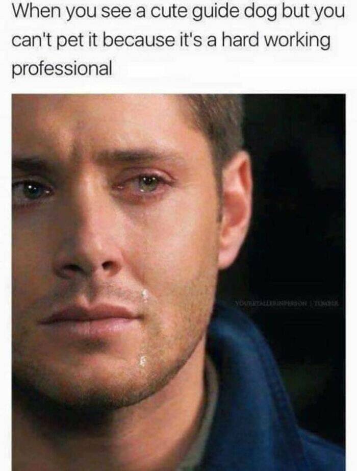 Memes That Bring The Humor, No Matter The Topic Memes That Bring The Humor, No Matter The Topic