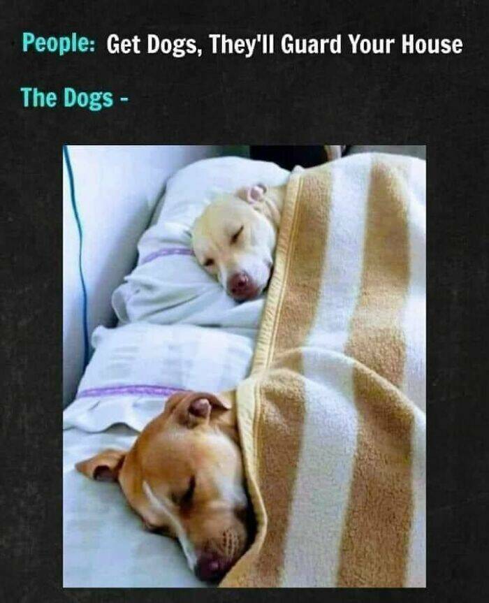 Memes That Bring The Humor, No Matter The Topic Memes That Bring The Humor, No Matter The Topic