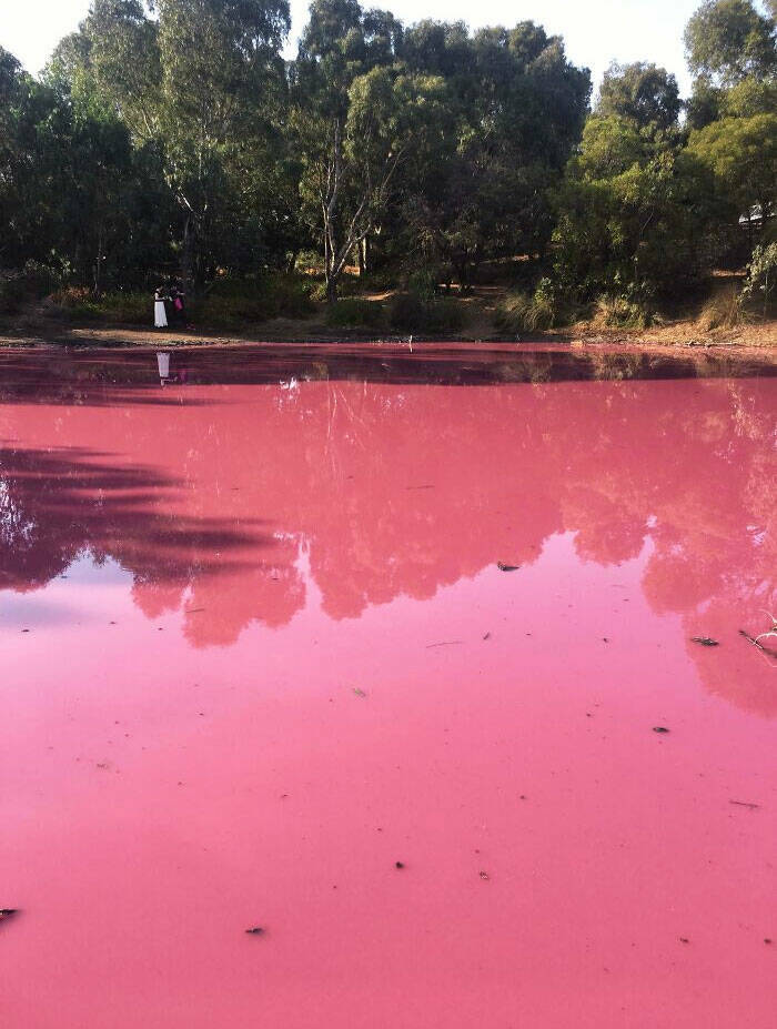 Forbidden Foods You Should Never Put On Your Plate