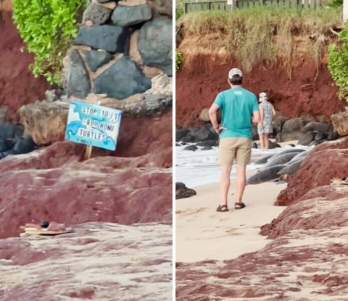 Disrespectful Tourists Behaving Badly Around The World