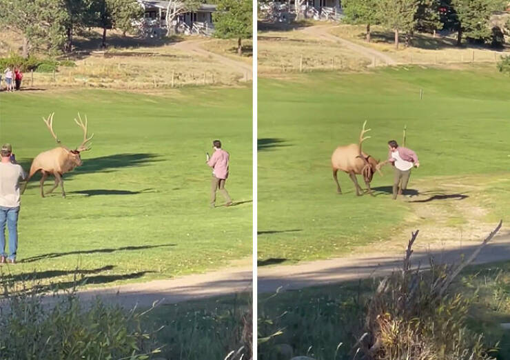 Disrespectful Tourists Behaving Badly Around The World