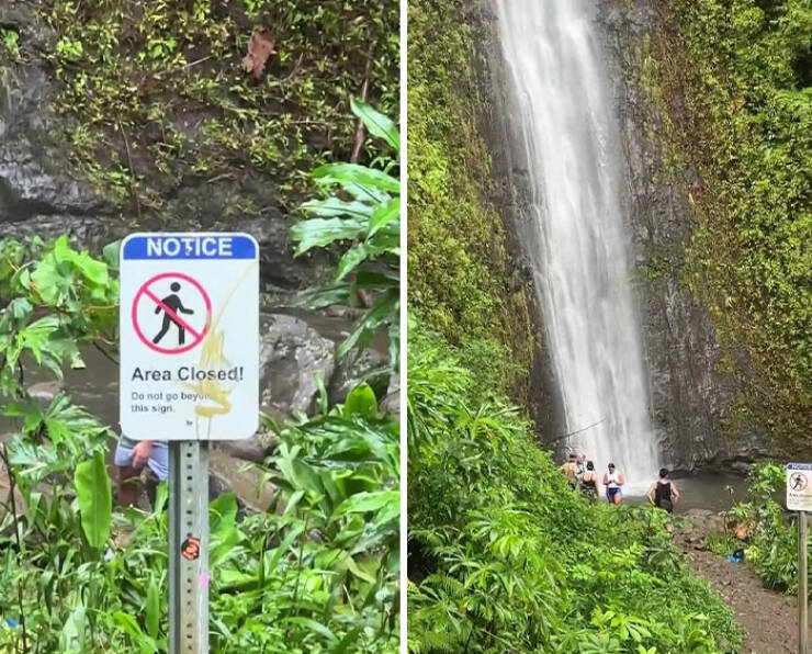 Disrespectful Tourists Behaving Badly Around The World