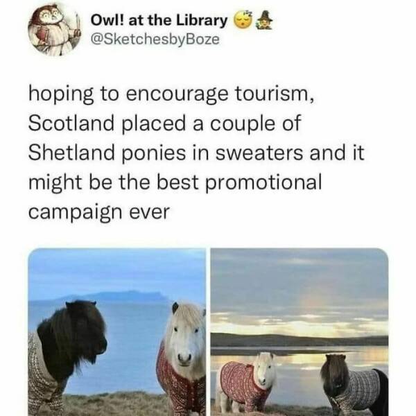 Laugh-Out-Loud Posts That Nail What It’s Like To Be A Millennial Laugh-Out-Loud Posts That Nail What It’s Like To Be A Millennial