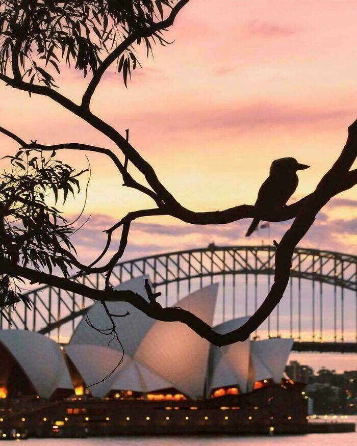 Unique Insights Into Life And Culture In Australia