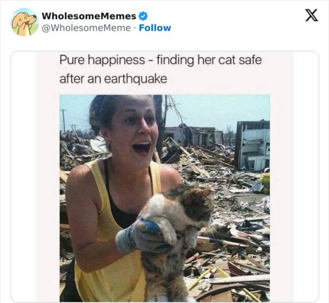 Wholesome  Memes That Will Put A Smile On Your Face