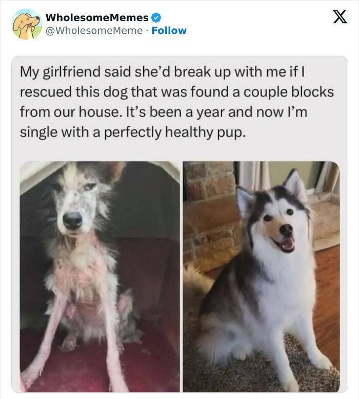 Wholesome  Memes That Will Put A Smile On Your Face