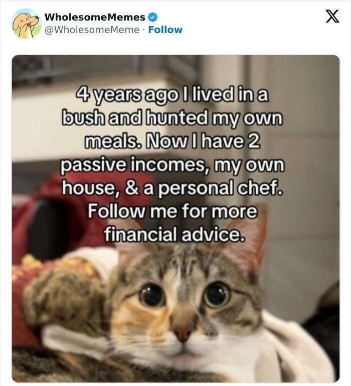 Wholesome  Memes That Will Put A Smile On Your Face