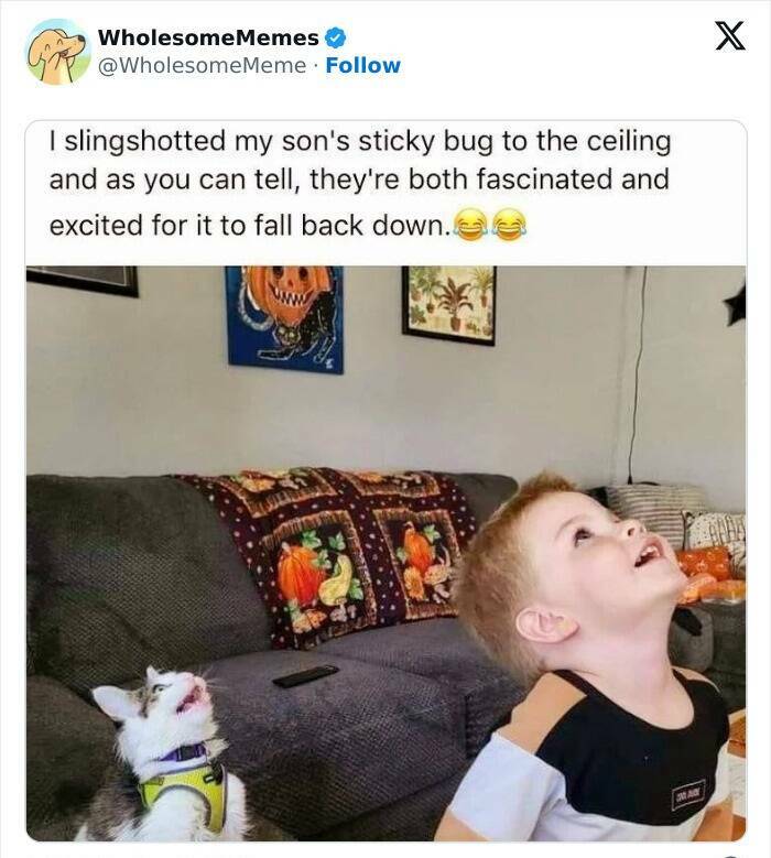Wholesome  Memes That Will Put A Smile On Your Face