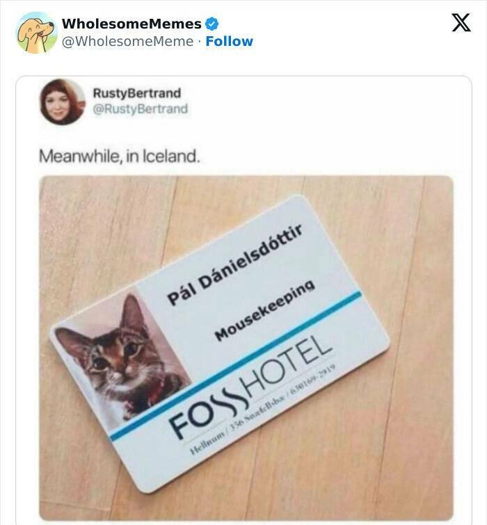 Wholesome  Memes That Will Put A Smile On Your Face