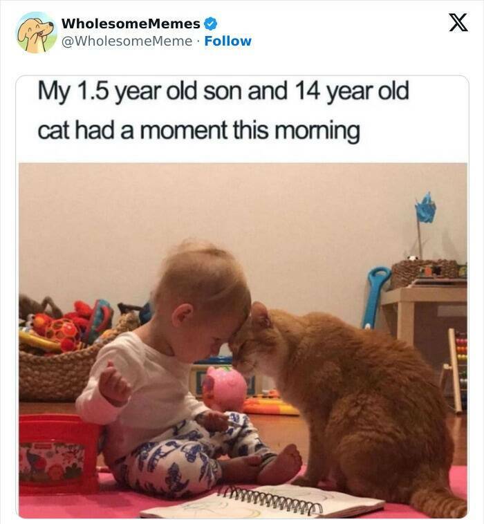 Wholesome  Memes That Will Put A Smile On Your Face