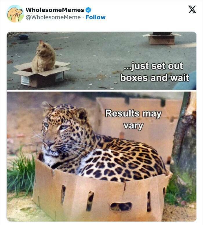 Wholesome  Memes That Will Put A Smile On Your Face