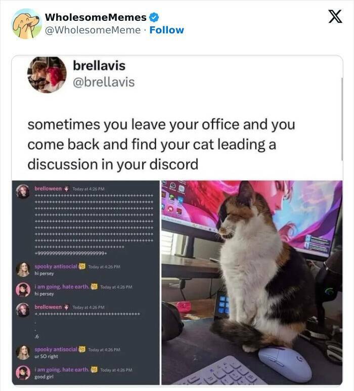 Wholesome  Memes That Will Put A Smile On Your Face