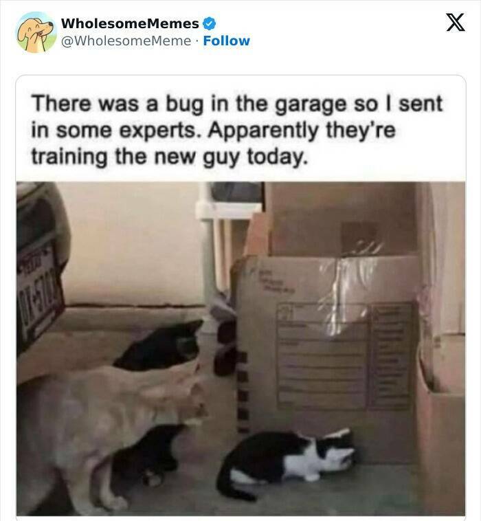 Wholesome  Memes That Will Put A Smile On Your Face