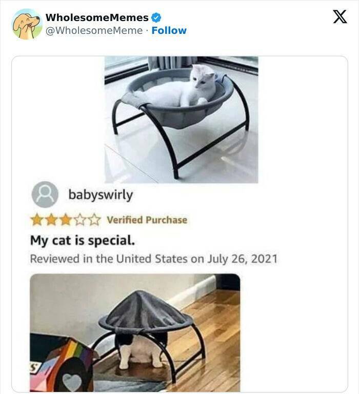 Wholesome  Memes That Will Put A Smile On Your Face