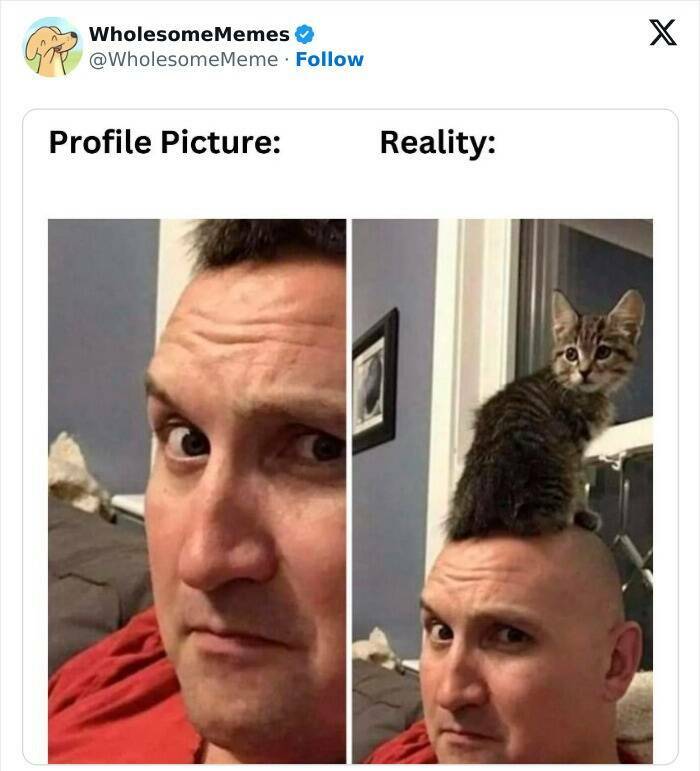 Wholesome  Memes That Will Put A Smile On Your Face