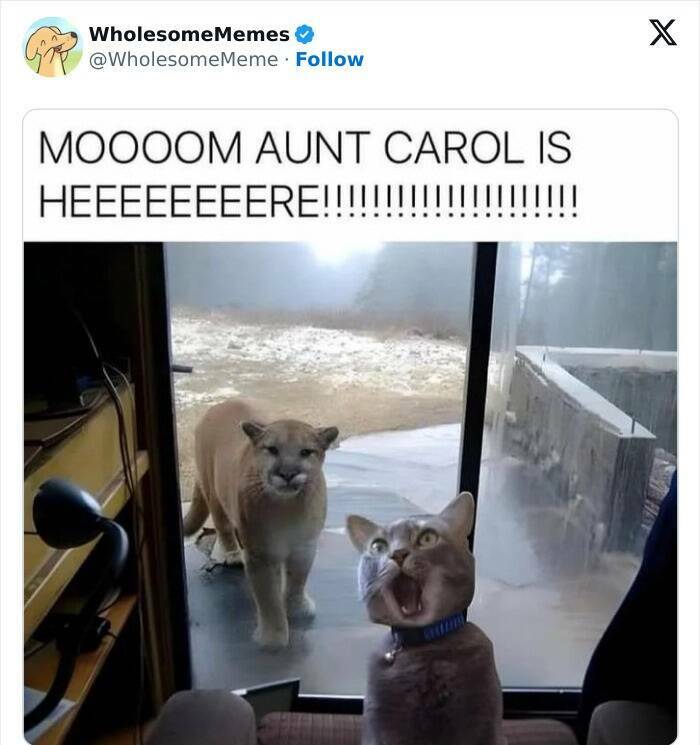 Wholesome  Memes That Will Put A Smile On Your Face
