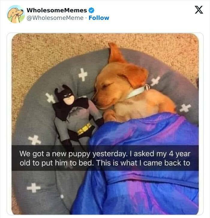 Wholesome  Memes That Will Put A Smile On Your Face
