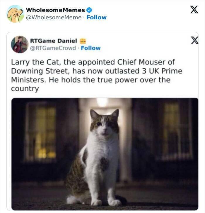 Wholesome  Memes That Will Put A Smile On Your Face