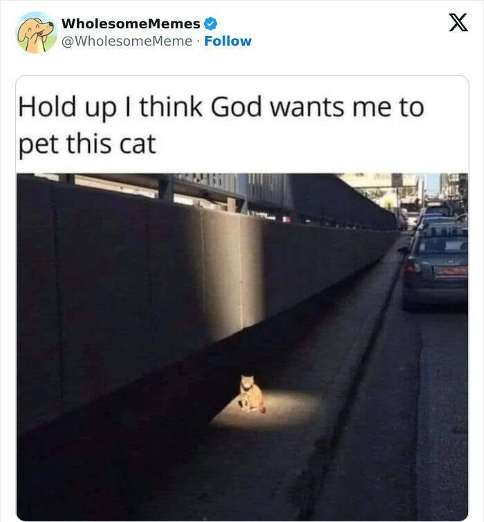 Wholesome  Memes That Will Put A Smile On Your Face