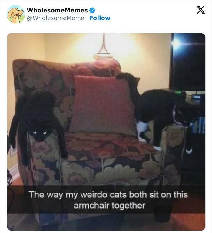 Wholesome  Memes That Will Put A Smile On Your Face