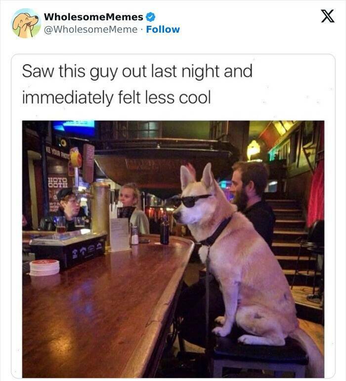 Wholesome  Memes That Will Put A Smile On Your Face