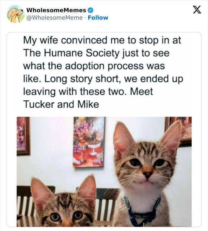 Wholesome  Memes That Will Put A Smile On Your Face