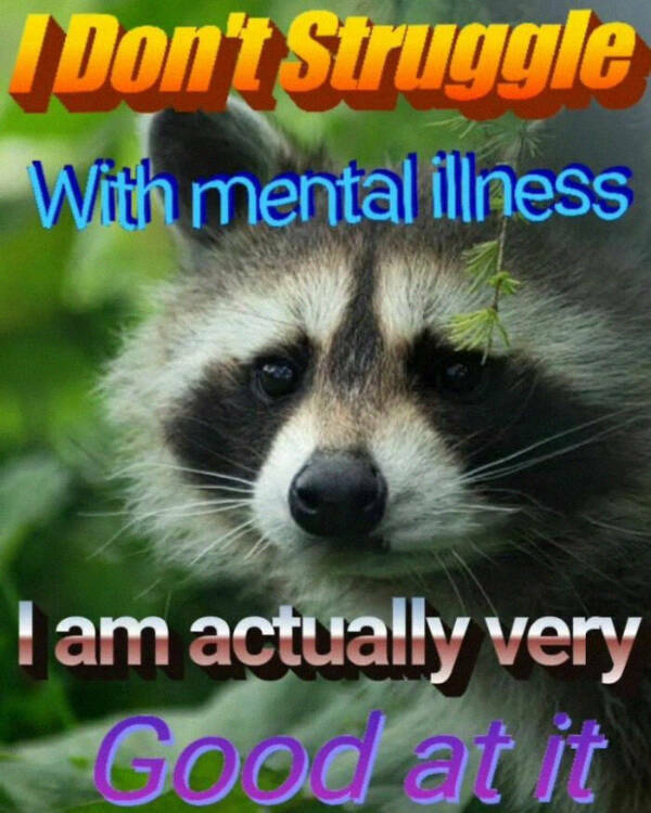 Meme-Worthy Raccoons Bringing The Laughs