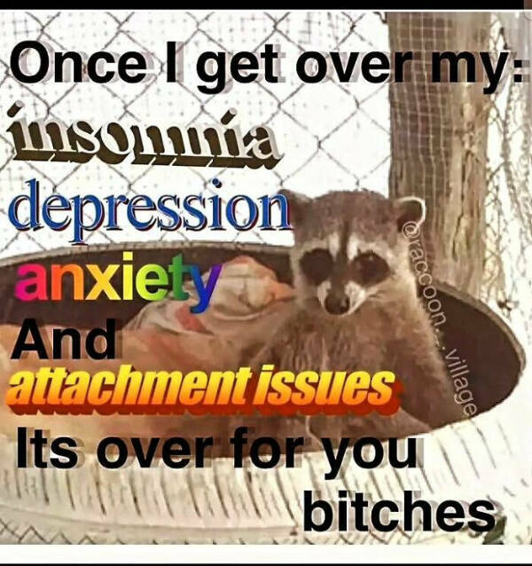 Meme-Worthy Raccoons Bringing The Laughs